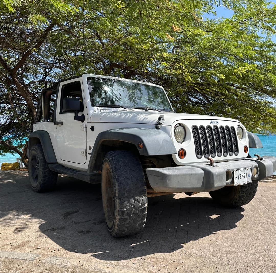 Jeep Wrangler White